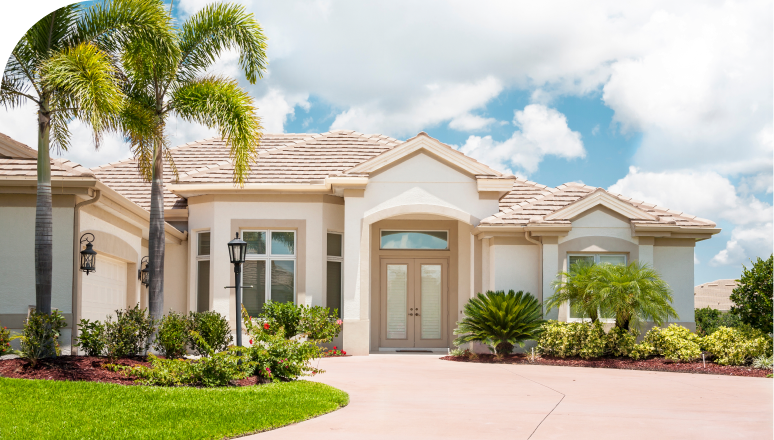 Modern suburban home with palm trees